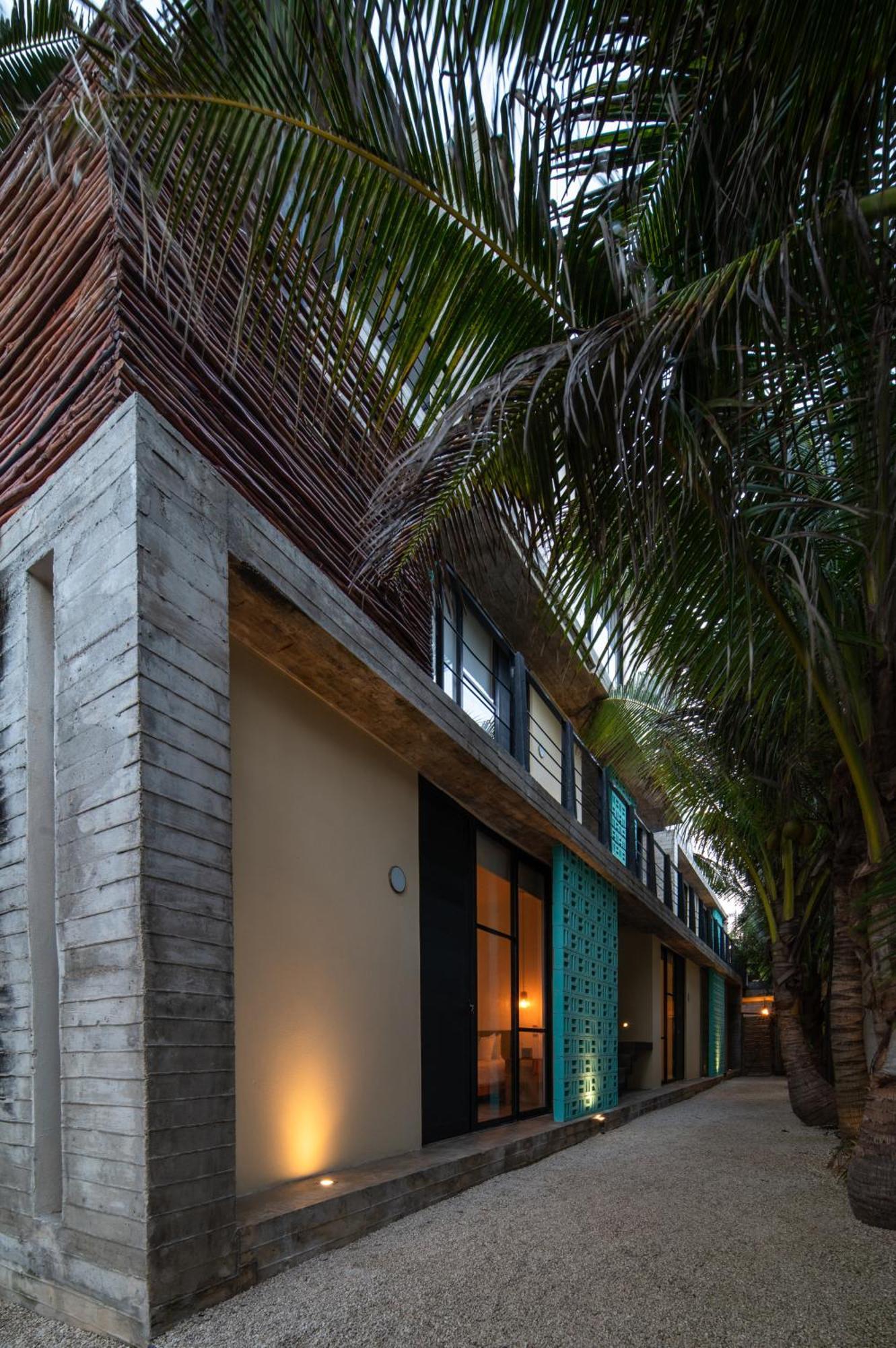 Tropicalito Villa On The Beach 图卢姆 外观 照片