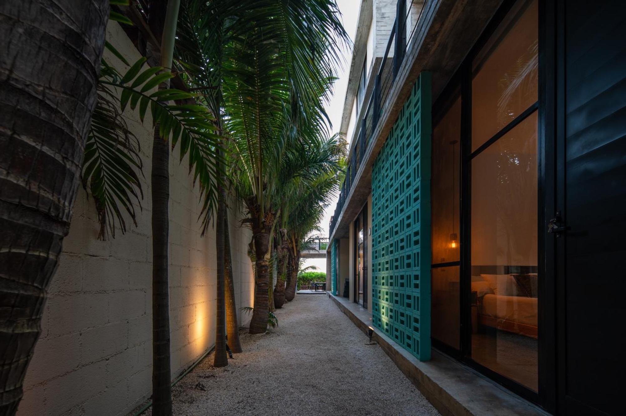 Tropicalito Villa On The Beach 图卢姆 外观 照片