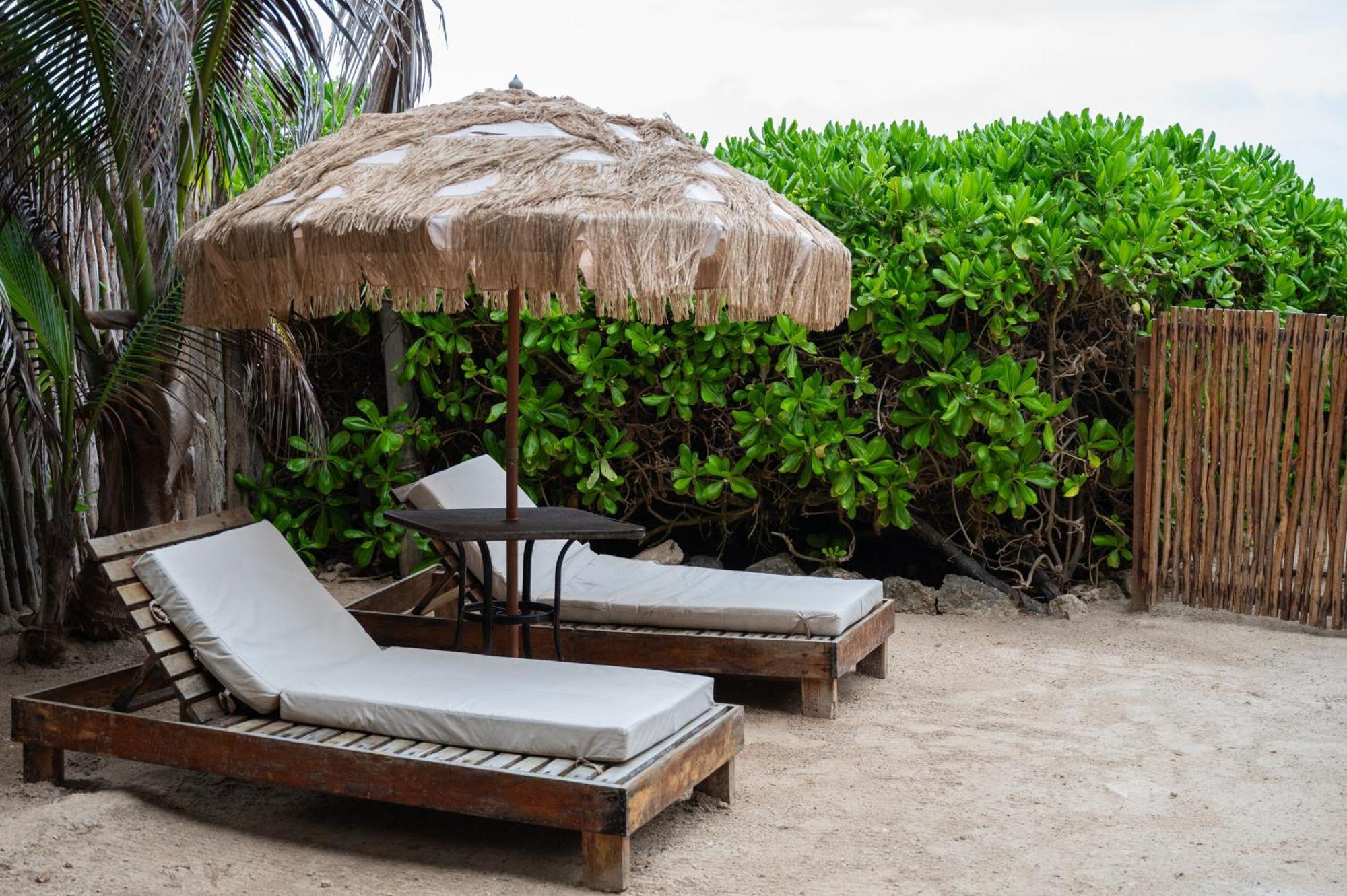 Tropicalito Villa On The Beach 图卢姆 外观 照片